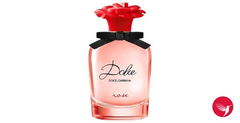 dolce gabbana roos geur|dolce and gabbana rose.